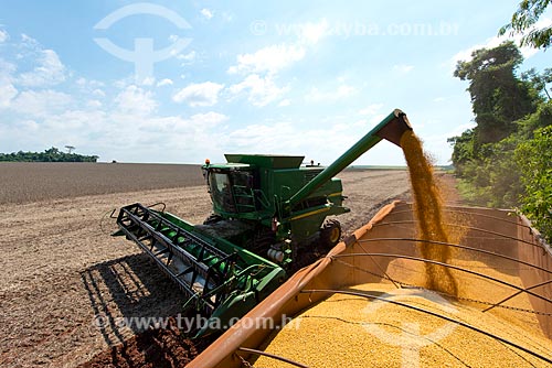  Subject: Mechanized harvesting of soybean at rural zone of the Palotina city / Place: Palotina city - Parana state (PR) - Brazil / Date: 01/2013 