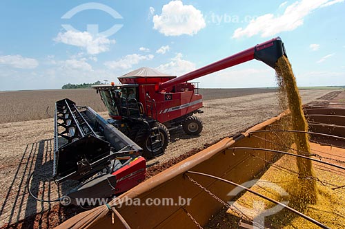  Subject: Mechanized harvesting of soybean at rural zone of the Palotina city / Place: Palotina city - Parana state (PR) - Brazil / Date: 01/2013 