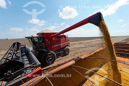  Subject: Mechanized harvesting of soybean at rural zone of the Palotina city / Place: Palotina city - Parana state (PR) - Brazil / Date: 01/2013 