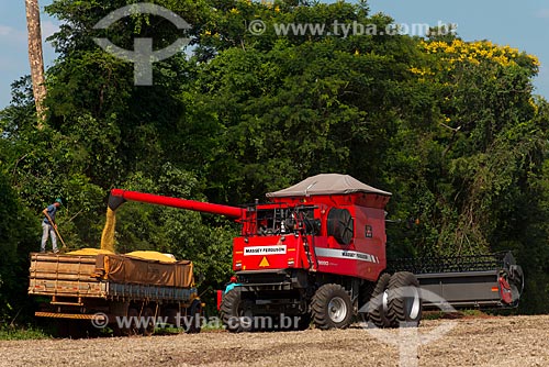  Subject: Mechanized harvesting of soybean at rural zone of the Palotina city / Place: Palotina city - Parana state (PR) - Brazil / Date: 01/2013 