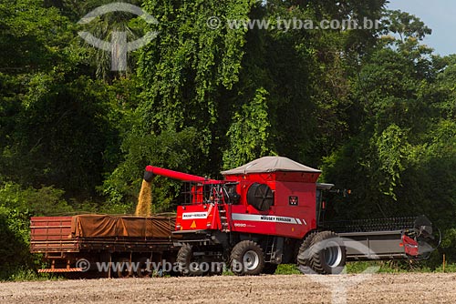  Subject: Mechanized harvesting of soybean at rural zone of the Palotina city / Place: Palotina city - Parana state (PR) - Brazil / Date: 01/2013 