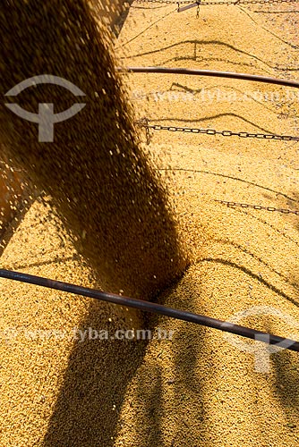  Subject: Mechanized harvesting of soybean at rural zone of the Palotina city / Place: Palotina city - Parana state (PR) - Brazil / Date: 01/2013 