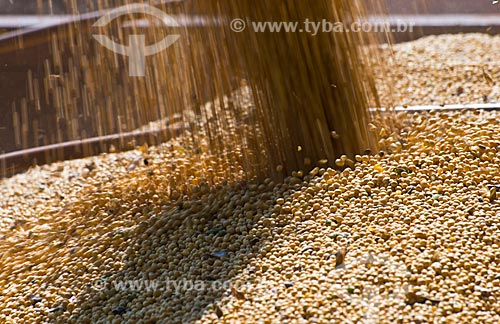  Subject: Mechanized harvesting of soybean at rural zone of the Palotina city / Place: Palotina city - Parana state (PR) - Brazil / Date: 01/2013 