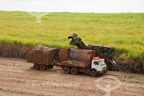  Subject: Mechanized harvesting of sugarcane / Place: Sertaozinho city - Sao Paulo state (SP) - Brazil / Date: 05/2013 