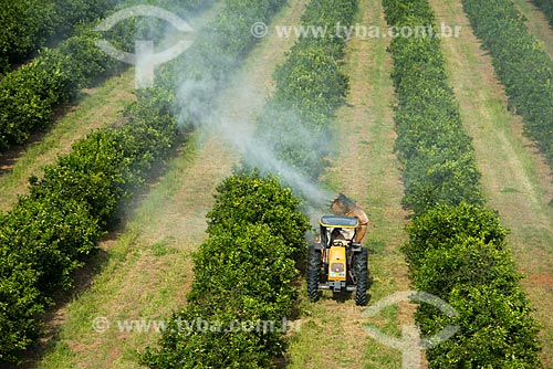  Subject: Spraying pesticide at orange plantation / Place: Bebedouro city - Sao Paulo state (SP) - Brazil / Date: 05/2013 