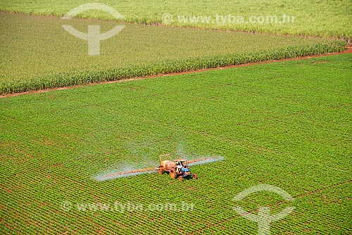 Subject: Spraying pesticide at beans plantation / Place: Guaira city - Sao Paulo state (SP) - Brazil / Date: 05/2013 