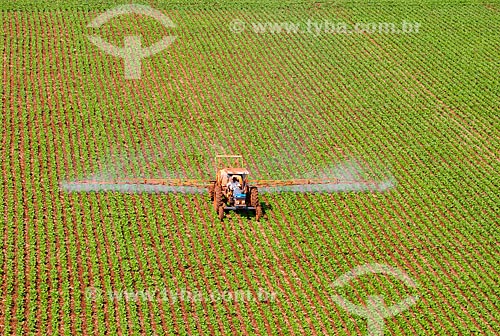  Subject: Spraying pesticide at beans plantation / Place: Guaira city - Sao Paulo state (SP) - Brazil / Date: 05/2013 