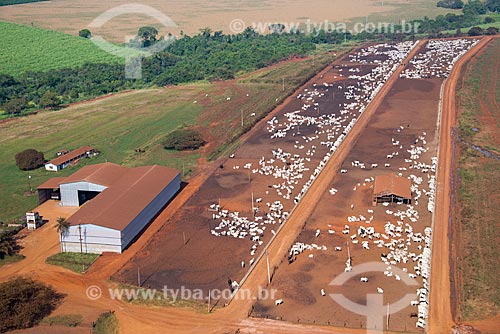  Subject: Aerial view of confined cattle herd / Place: Barretos city - Sao Paulo state (SP) - Brazil / Date: 05/2013 