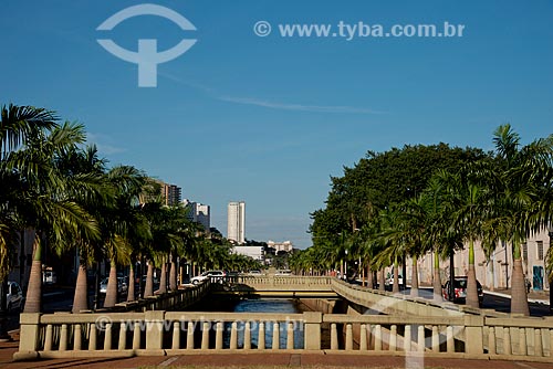  Subject: Ribeirao Preto Stream and Jeronimo Goncalves Avenue - after the reform that removed the centenary palm trees / Place: Ribeirao Preto city - Sao Paulo state (SP) - Brazil / Date: 05/2013 