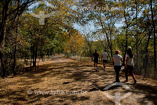  Subject: Peoples walking at Prefeito Luiz Roberto Jabali Municipal Park - also known as Curupira Park / Place: Ribeirao Preto city - Sao Paulo state (SP) - Brazil / Date: 05/2013 