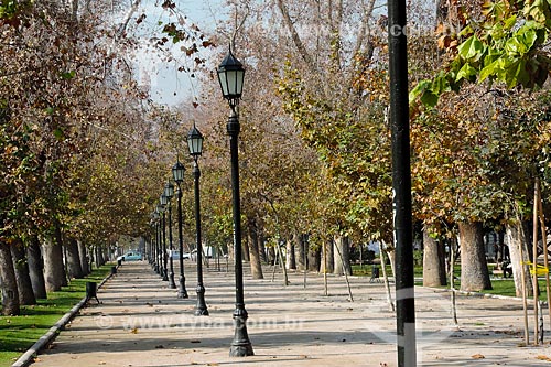  Subject: Lamppost at Parque Florestal (Forest Park) / Place: Bellas artes neighborhood - Santiago city - Chile - South America / Date: 05/2013 