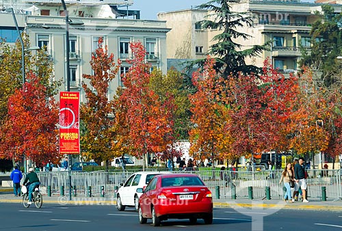 Subject: Trees with feature of autumn at Plaza Italia (Italy Square) / Place: Santiago city - Chile - South America / Date: 05/2013 
