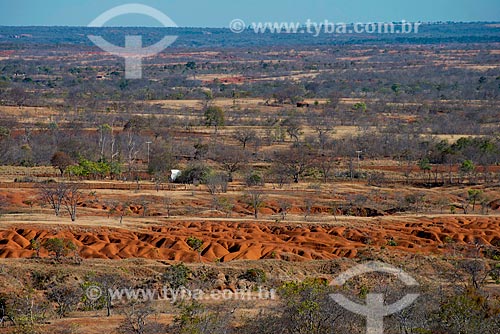 Subject: Desertification at Guilbues region / Place: Gilbues city - Piaui state (PI) - Brazil / Date: 07/2013 