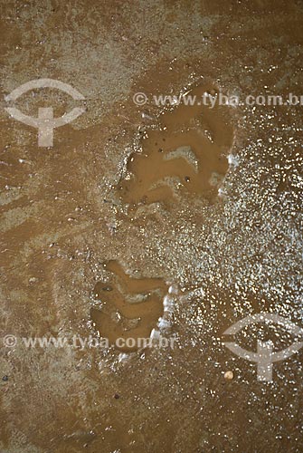  Subject: Footprint in mud at the construction site of the construction of Gremio Arena (2012) / Place: Maracana neighborhood - Rio de Janeiro city - Rio de Janeiro state (RJ) - Brazil / Date: 02/2012 