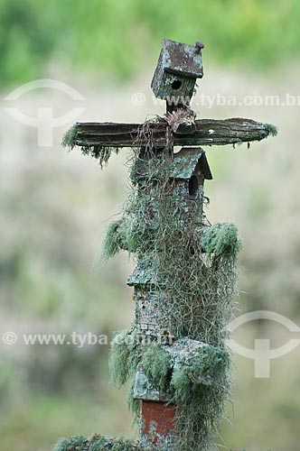  Subject: Bird houses covered by mosses / Place: Campos de Cima da Serra - Rio Grande do Sul state (RS) - Brazil / Date: 09/2013 