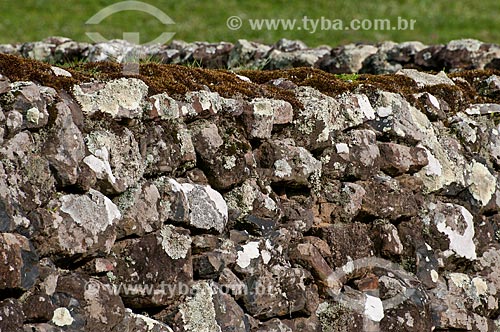  Subject: Detail of taipa wall / Place: Campos de Cima da Serra - Rio Grande do Sul state (RS) - Brazil / Date: 09/2013 