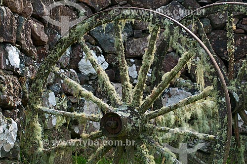  Subject: Wheel of a ox car covered by mosses / Place: Campos de Cima da Serra - Rio Grande do Sul state (RS) - Brazil / Date: 09/2013 