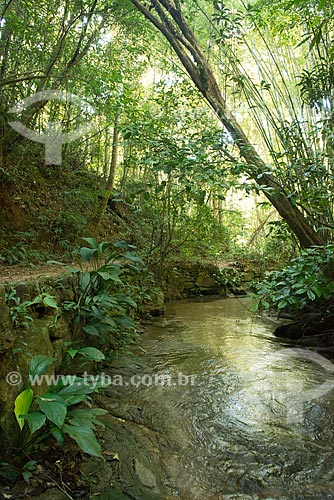  Subject: River in the Tijuca forest / Place: Rio de Janeiro city - Rio de Janeiro state (RJ) - Brazil / Date: 08/2013 