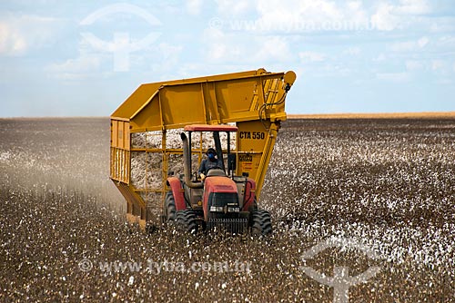  Subject: Mechanized harvesting at cotton plantation at rural zone district of Roda Velha / Place: Sao Desiderio - Bahia state (BA) - Brazil / Date: 07/2013 