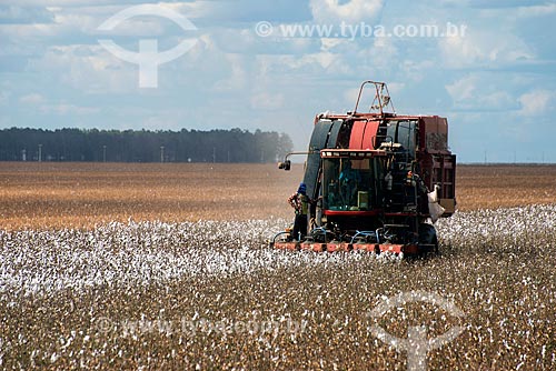  Subject: Mechanized harvesting at cotton plantation at rural zone district of Roda Velha / Place: Sao Desiderio - Bahia state (BA) - Brazil / Date: 07/2013 