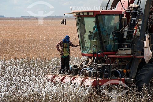  Subject: Mechanized harvesting at cotton plantation at rural zone district of Roda Velha / Place: Sao Desiderio - Bahia state (BA) - Brazil / Date: 07/2013 