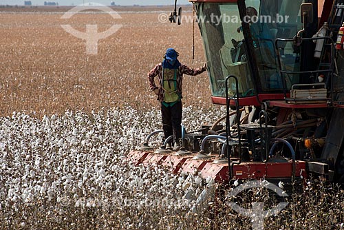  Subject: Mechanized harvesting at cotton plantation at rural zone district of Roda Velha / Place: Sao Desiderio - Bahia state (BA) - Brazil / Date: 07/2013 