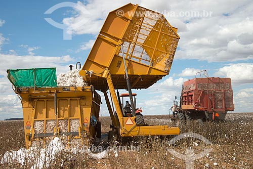  Subject: Mechanical presses and harvester at cotton plantation at rural zone district of Roda Velha / Place: Sao Desiderio - Bahia state (BA) - Brazil / Date: 07/2013 