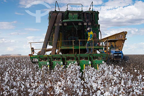  Subject: Mechanized harvesting at cotton plantation at rural zone district of Roda Velha / Place: Sao Desiderio - Bahia state (BA) - Brazil / Date: 07/2013 