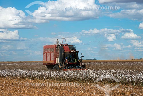  Subject: Mechanized harvesting at cotton plantation at rural zone district of Roda Velha / Place: Sao Desiderio - Bahia state (BA) - Brazil / Date: 07/2013 