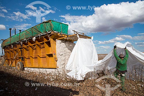  Subject: Mechanical presses at cotton plantation at rural zone district of Roda Velha / Place: Sao Desiderio - Bahia state (BA) - Brazil / Date: 07/2013 