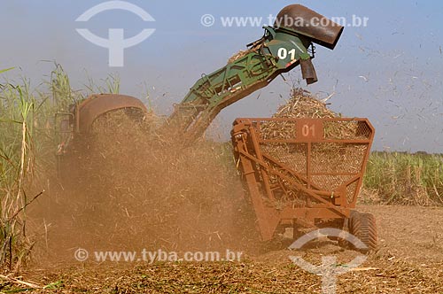  Subject: Mechanical Harvesting of Sugar Cane in the rural zone of Balsamo city / Place: Balsamo city - Sao Paulo state (SP) - Brazil / Date: 09/2013 