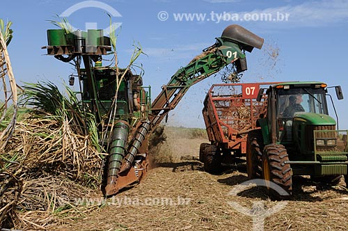  Subject: Mechanical Harvesting of Sugar Cane in the rural zone of Balsamo city / Place: Balsamo city - Sao Paulo state (SP) - Brazil / Date: 09/2013 