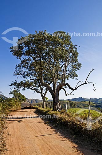  Subject: Landscape at Carvalhos city rural zone / Place: Carvalhos city - Minas Gerais state (MG) - Brazil / Date: 07/2013 