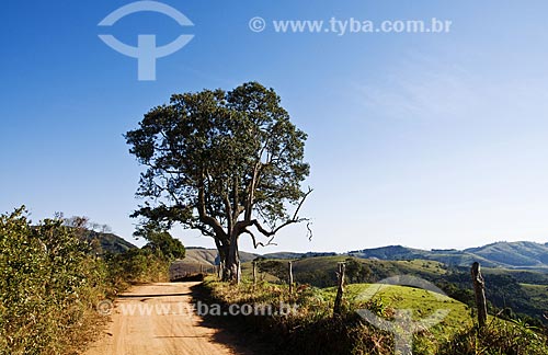  Subject: Landscape at Carvalhos city rural zone / Place: Carvalhos city - Minas Gerais state (MG) - Brazil / Date: 07/2013 