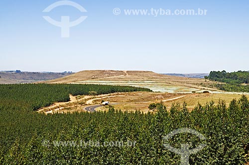  Subject: View of eucalyptus plantation area and phosphate mining from the road between Araxa to Tapira / Place: Araxa city - Minas Gerais state (MG) - Brazil / Date: 07/2013 