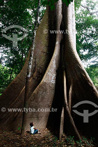  Subject: Child observes Kapok tree (Ceiba pentandra) located on the edge of Ariau River / Place: Amazonas state (AM) - Brazil / Date: 09/2013 