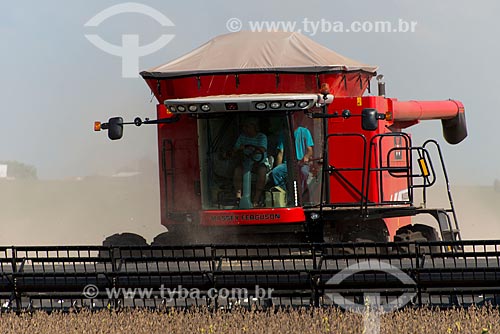  Subject: Mechanical harvesting of soybean in the rural zone of Palotina city / Place: Palotina city - Parana state (PR) - Brazil / Date: 01/2013 