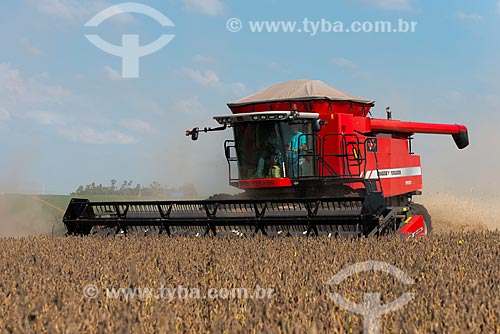  Subject: Mechanical harvesting of soybean in the rural zone of Palotina city / Place: Palotina city - Parana state (PR) - Brazil / Date: 01/2013 