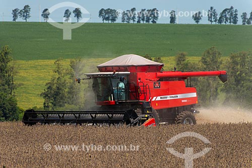  Subject: Mechanical harvesting of soybean in the rural zone of Palotina city / Place: Palotina city - Parana state (PR) - Brazil / Date: 01/2013 