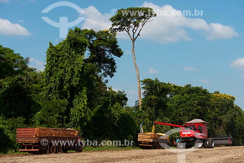  Subject: Unloading of soybean in the rural zone of Palotina city / Place: Palotina city - Parana state (PR) - Brazil / Date: 01/2013 