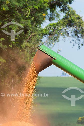  Subject: Unloading of soybean in the rural zone of Palotina city / Place: Palotina city - Parana state (PR) - Brazil / Date: 01/2013 