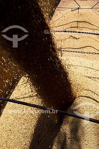  Subject: Unloading of transgenic soybean / Place: Palotina city - Parana state (PR) - Brazil / Date: 01/2013 
