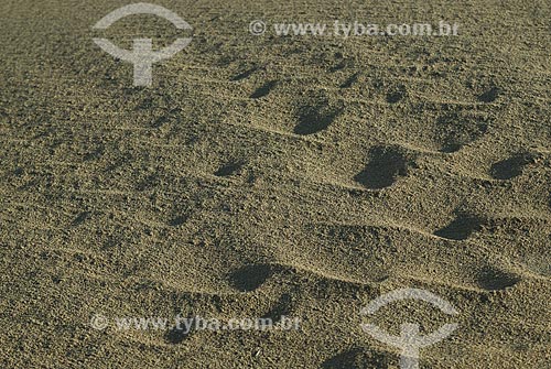  Subject: Footprints in the sand / Place: Punta Del Este city - Maldonado Department - Uruguay - South America / Date: 09/2013 
