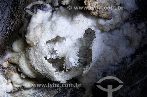  Subject: Rare formation of aragonite flower - Torrinha Cave / Place: Iraquara city - Bahia state (BA) - Brazil / Date: 09/2012 