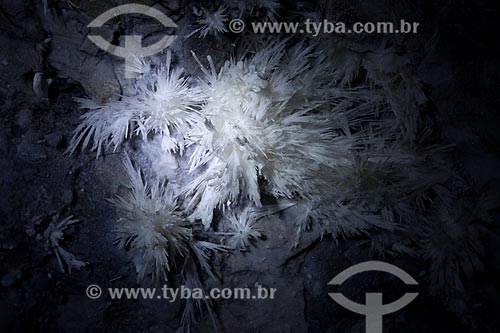  Subject: Aragonite flower - Torrinha Cave / Place: Iraquara city - Bahia state (BA) - Brazil / Date: 09/2012 