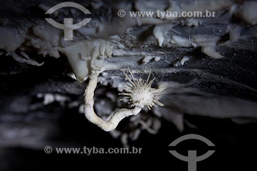  Subject: Rare formation of aragonite flower - the flower shape up - Torrinha Cave / Place: Iraquara city - Bahia state (BA) - Brazil / Date: 09/2012 