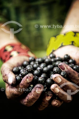  Subject: Detail of hands holding acai / Place: Acre state (AC) - Brazil / Date: 05/2013 