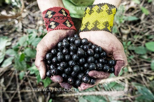  Subject: Detail of hands holding acai / Place: Acre state (AC) - Brazil / Date: 05/2013 