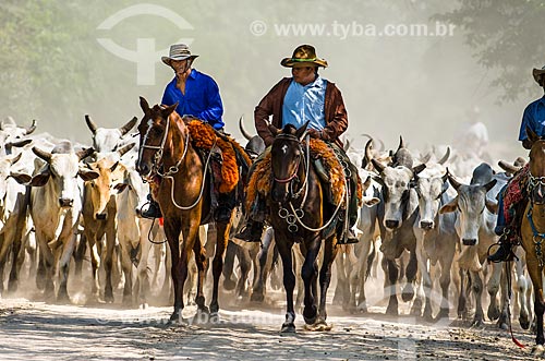  Subject: Cowboys herding cattle - near to Abobral River wetland / Place: Mato Grosso do Sul state (MS) - Brazil / Date: 11/2011 