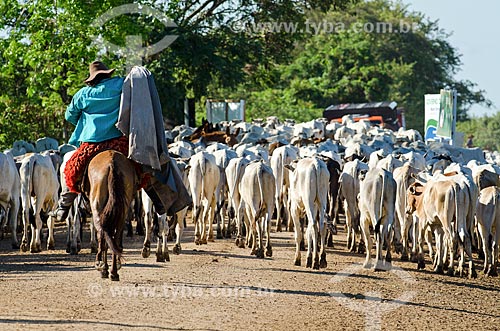  Subject: Cowboy herding cattle - near to Abobral River wetland / Place: Mato Grosso do Sul state (MS) - Brazil / Date: 11/2011 